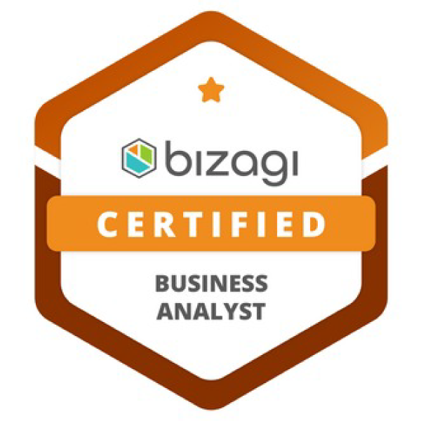 Bizagi Business Analyst