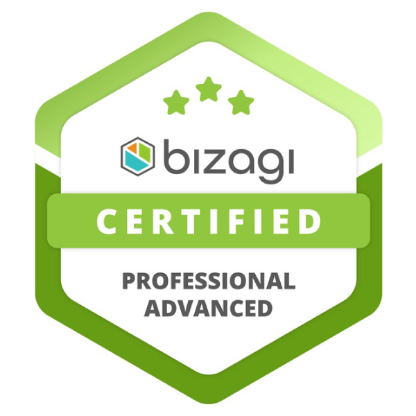 Bizagi Professional Advanced